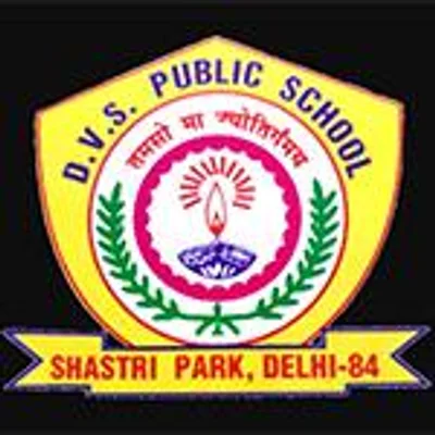 D.V.S. Public School