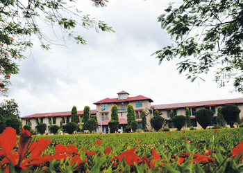 School Media