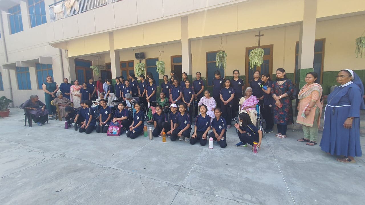School Media
