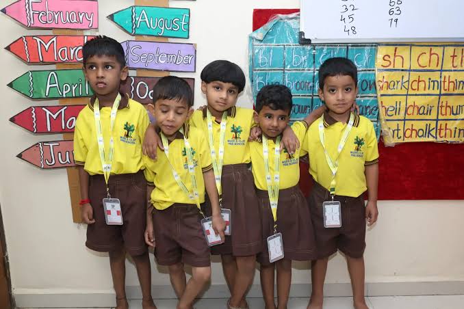 School Media