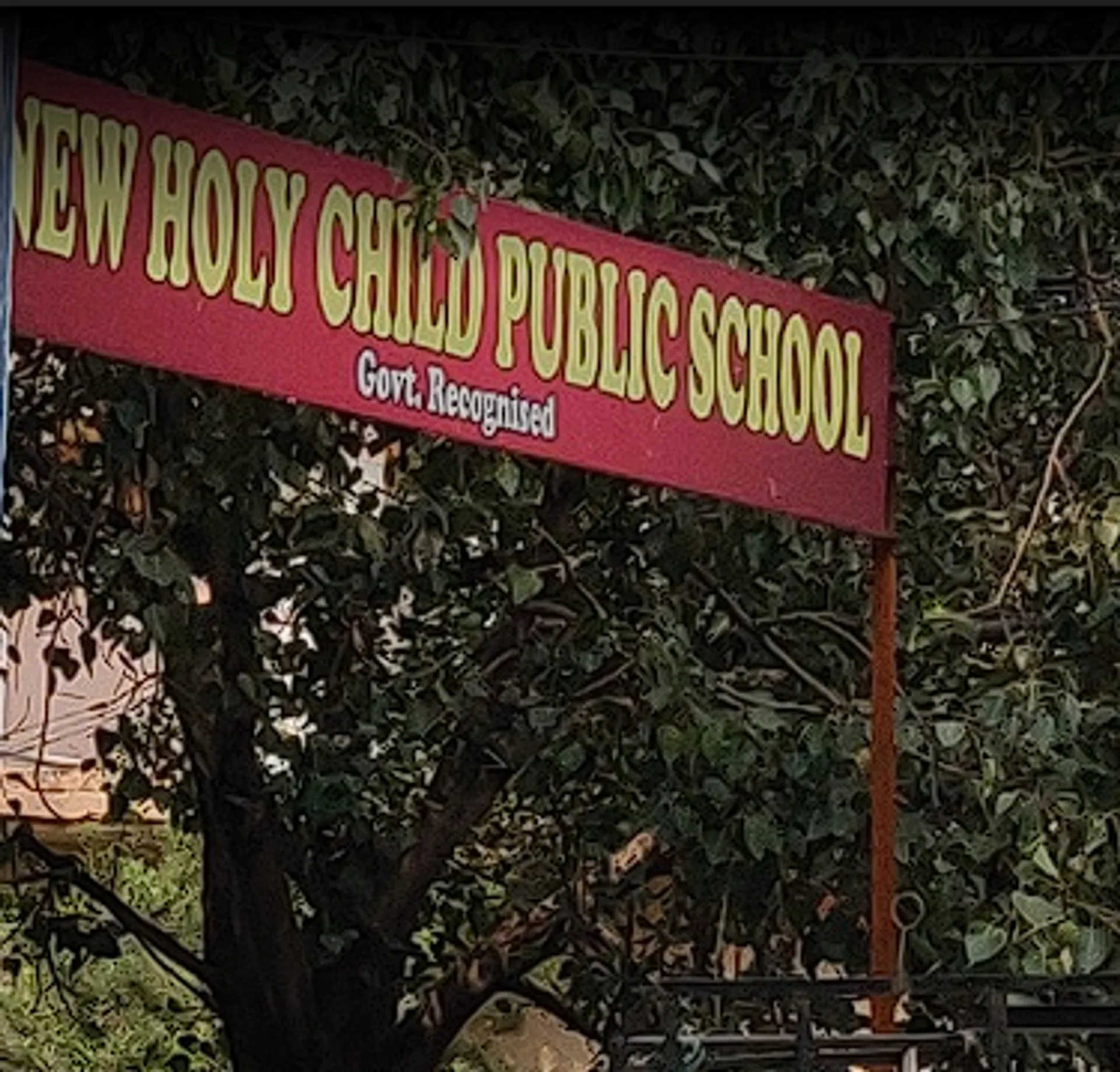 New Holy Child Public School