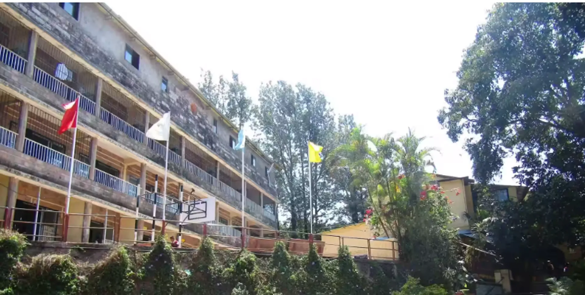 Shalom International School
