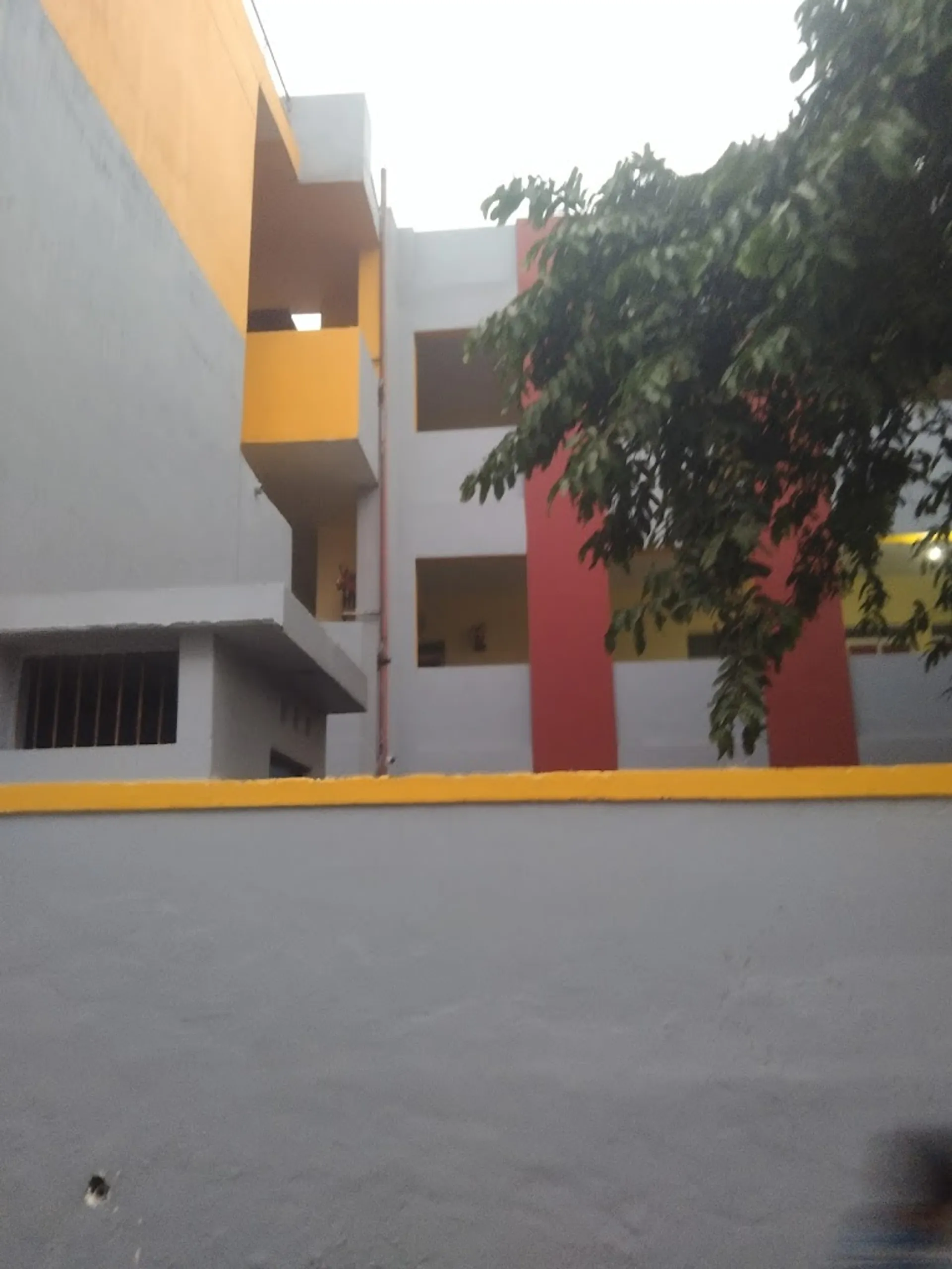 Vikas High School