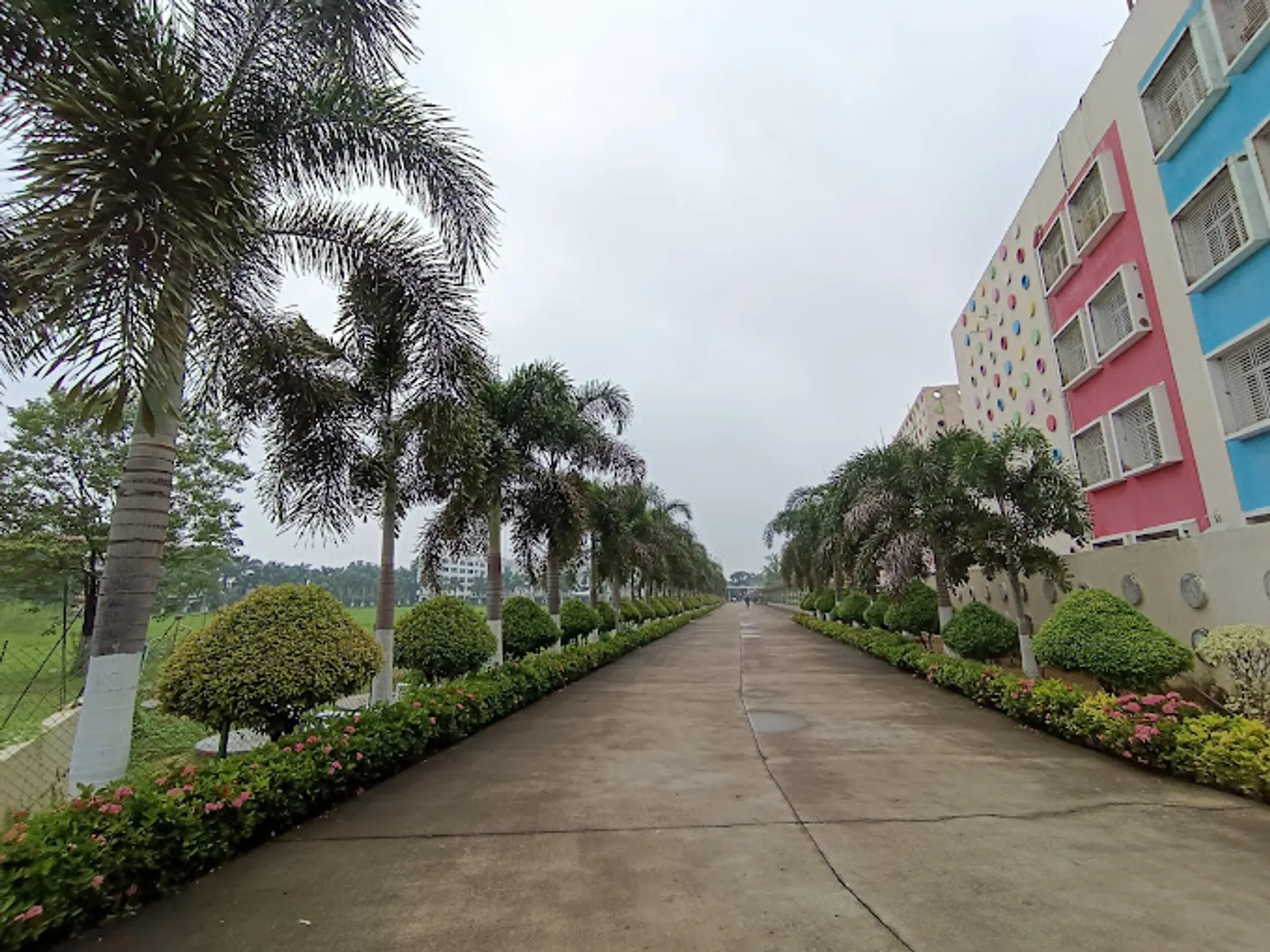 Vikash The Concept School