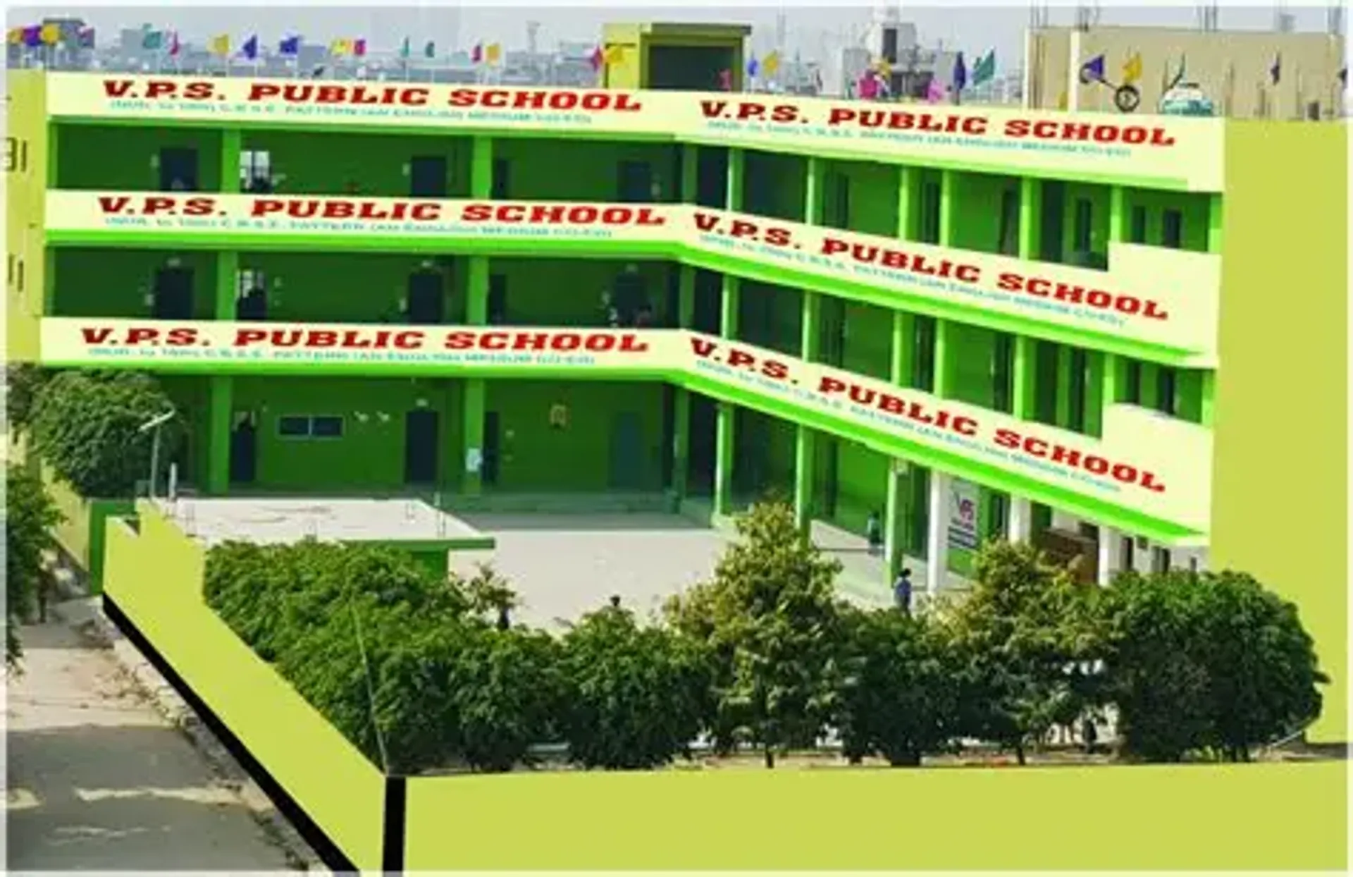 V.N Public School