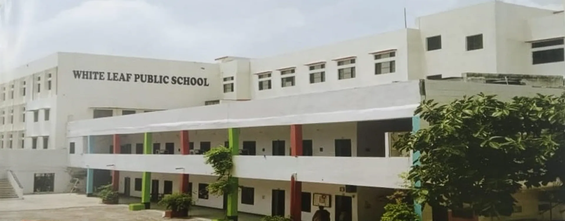 White Leaf Public School