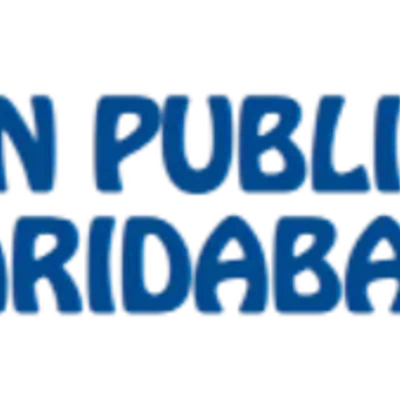 B N Public School logo