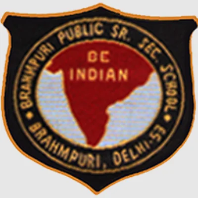 Brahampuri Public Senior Secondary School