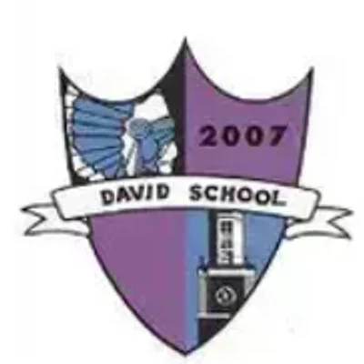 David Model Public Junior High School logo