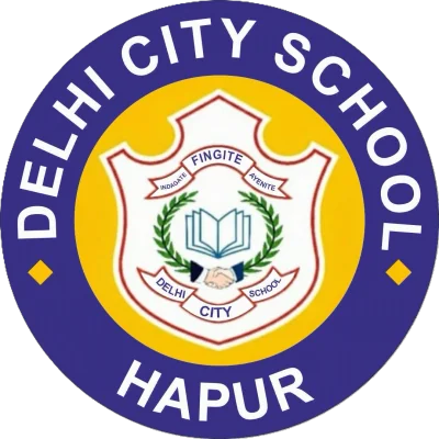 Delhi City School