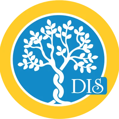 Delhi International School