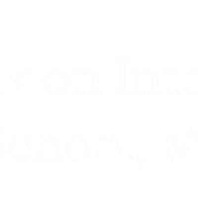 Doon International School logo