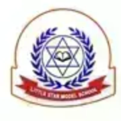 Little Star Model School