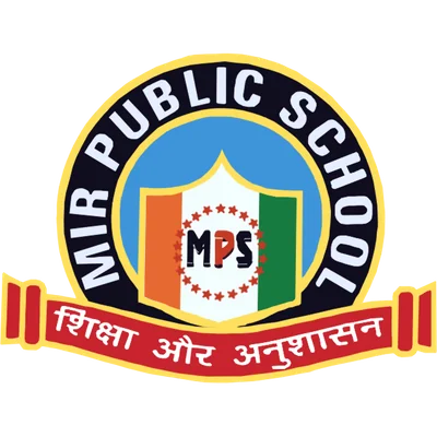 Mir Public School logo