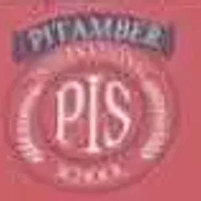Pitamber International School logo